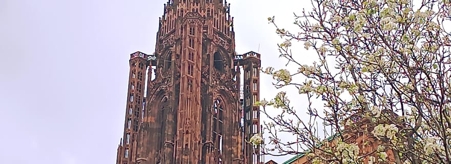 Visites Guidées de la Cathédrale de Strasbourg