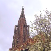 Visitas guiadas à Catedral de Estrasburgo