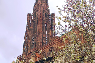 Estrasburgo: Entradas para atracciones turísticas y excursiones