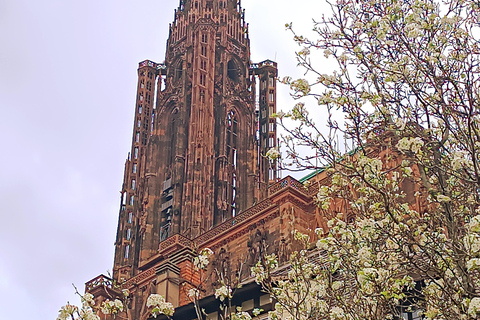 Führungen durch das Straßburger Münster