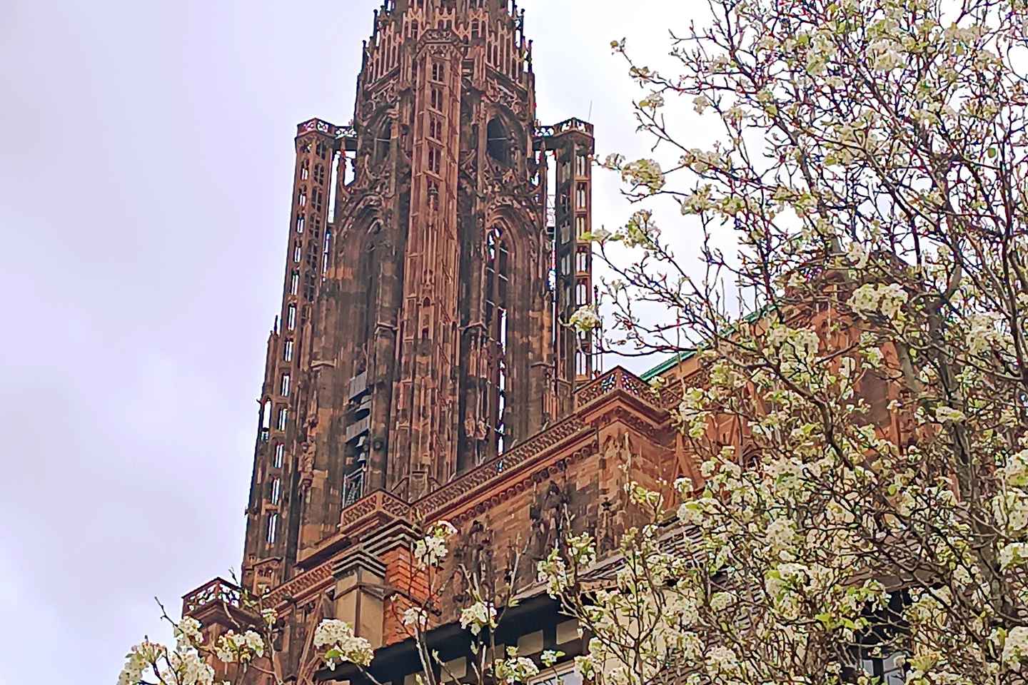 Guided Tours of Strasbourg Cathedral