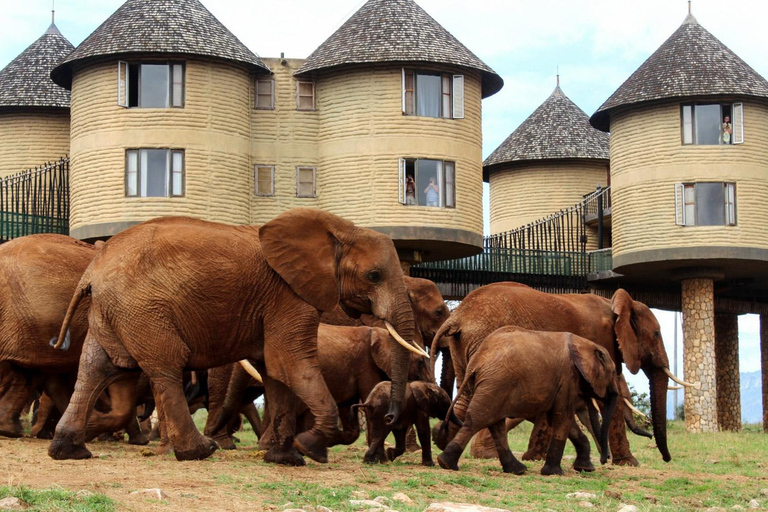 3 jours Parc national de Tsavo Est et Sanctuaire des collines de Taita