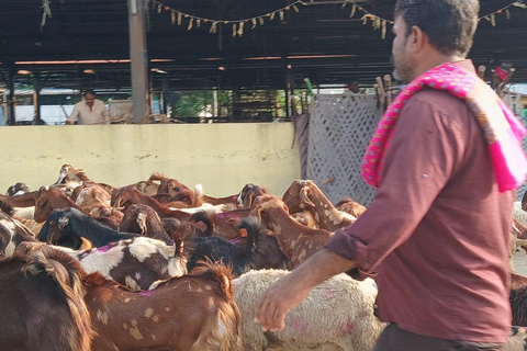 Bombay: Visita guiada al Matadero de Deonar