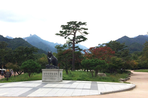 Seoul: Mt.Seorak, Nami Island, No ShoppingGruppentour - von der Hongik Univ. Station, Ausgang 8