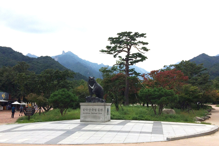 Seoul: Monte Seorak, Isola di Nami, No ShoppingGruppo (Foglie d&#039;autunno), incontro a Myeongdong