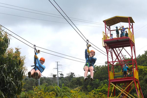 Río Grande : Zipline dans la forêt tropicale