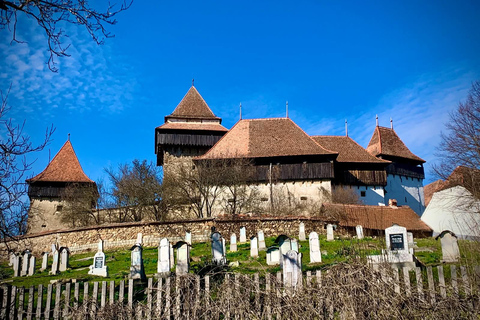 Saxon Villages Tour: Viscri, Rupea Fortress, Criț & Saschiz