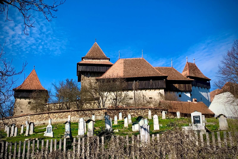 Saxon Villages Tour: Viscri, Rupea Fortress, Criț & Saschiz