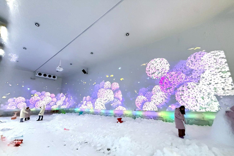 Pattaya: Winter Wonderland Real Snow Park Entry Ticket