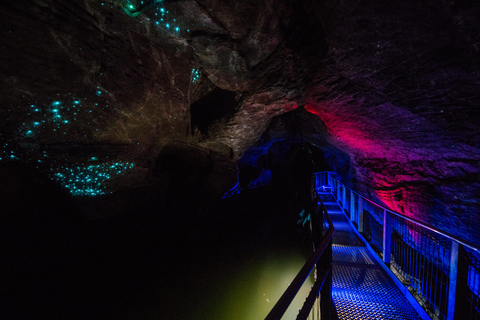 Från Auckland: Dagstur till Waitomo Glowworm och Ruakuri-grottorna