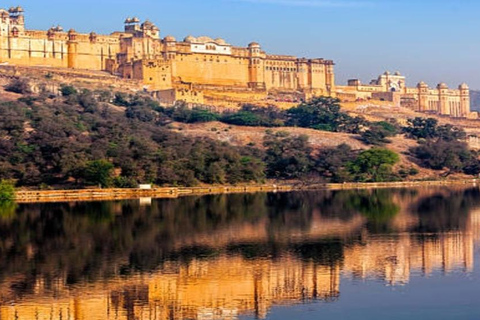 From Delhi: Jaipur Same-Day Tour Delhi: All Inclusive Sam Day Tour Driver, Guide, With Ticket