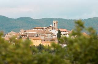 Ab Florenz: Chianti Hills Wineries Tour mit Verkostung