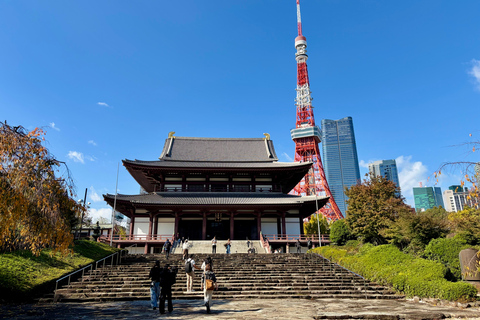 Tokyo: Private City Tour by Car with English-Speaking Driver Luxury Minivan 5 pax