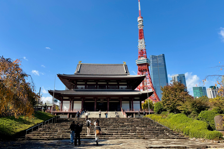 东京：本地导游带领的私人城市观光之旅豪华SUV 3人座