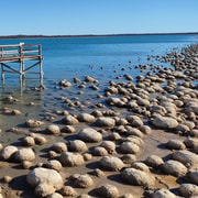 Clifton Thrombolites, Busselton Jetty & Canal Rocks Day Tour - 2026 ...