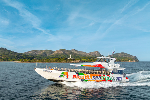 Alcudia: Dolphin Adventure Cruise
