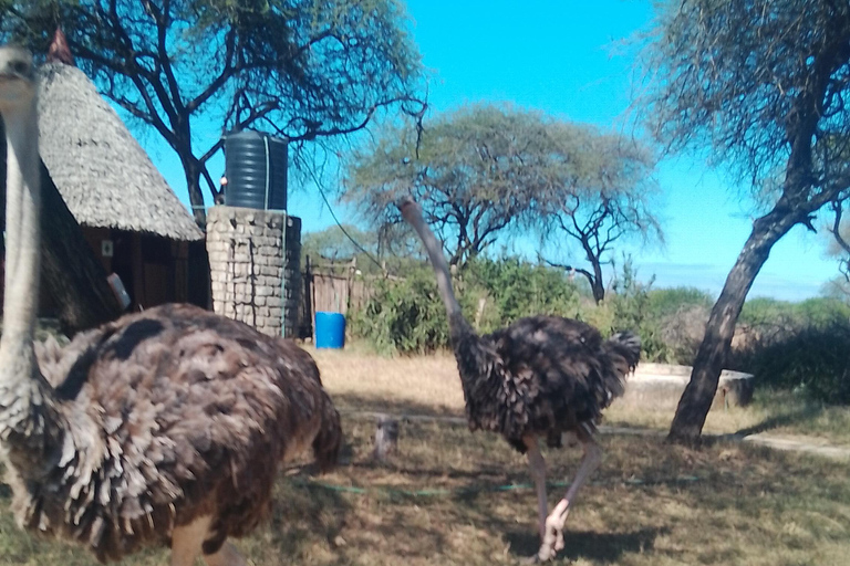 Mombasa: Wildlife Sanctuary Guided Nature Trail Tour Wildlife Sanctuary Guided Nature Trail Tour