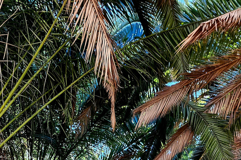 Arte urbano y visita a las cuevas de Granada