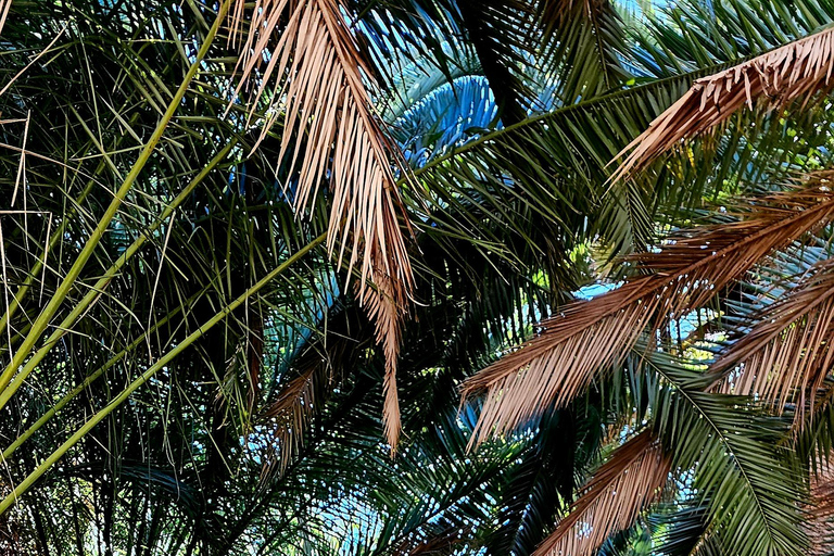 Arte urbano y visita a las cuevas de Granada