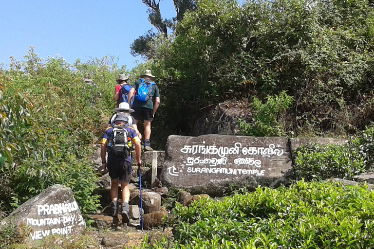 Trekking z Kandy do Ella