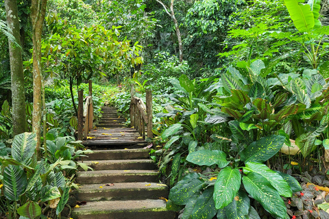 Hidden Valley Springs | Lunch | Taal Volcano Viewing (2in1)