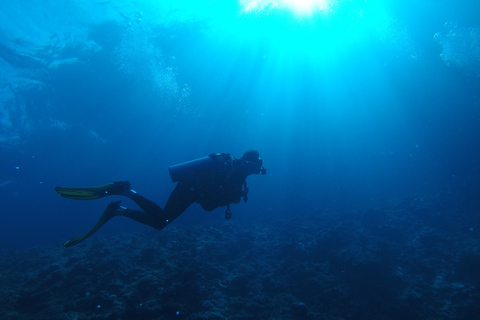 Scuba Diving in Negombo