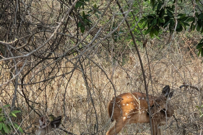 Victoria Falls: Family-Friendly Guided Walking Tour