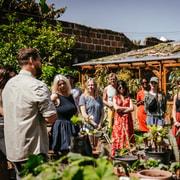 Teneriffa: Mehr als Bananen – nachhaltige Permakultur-Tour