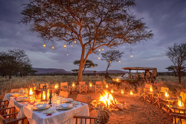 Beste 3-tägige Heiligabend-Safari nach Tarangire und Serengeti
