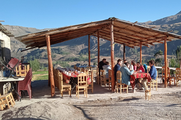 Exkursion: Colca Canyon mit Transfer nach Puno.