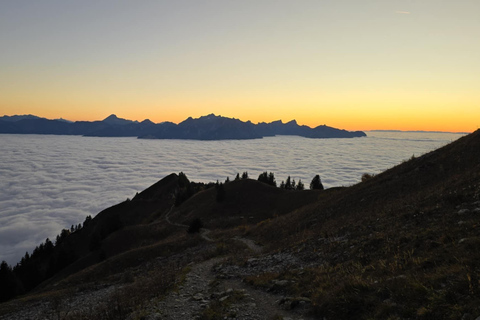 Montreux: Rochers-de-Naye Hike and Picnic Day Trip