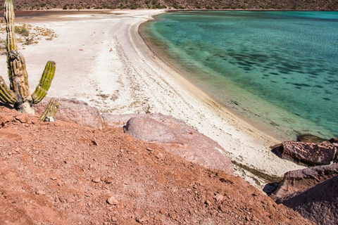 From La Paz: Espíritu Santo Island Tour all inclusive From La Paz: Espíritu Santo Island Tour