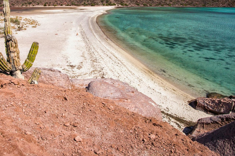 From La Paz: Espíritu Santo Island Tour all inclusive From La Paz: Espíritu Santo Island Tour