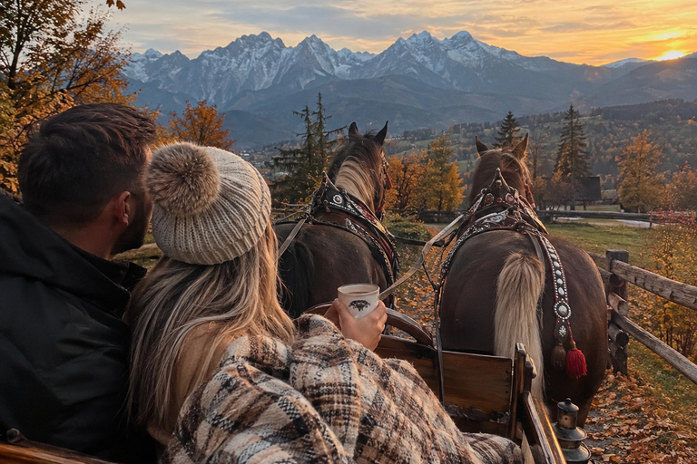 Termy Szaflary Entry & Sleigh Ride with Wine