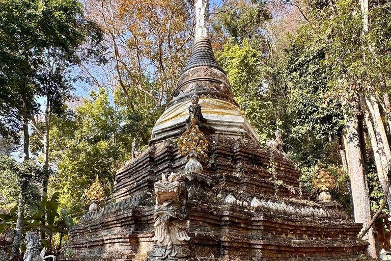 Passeio noturno ao Doi Suthep e ao Templo Wat Pha Lat