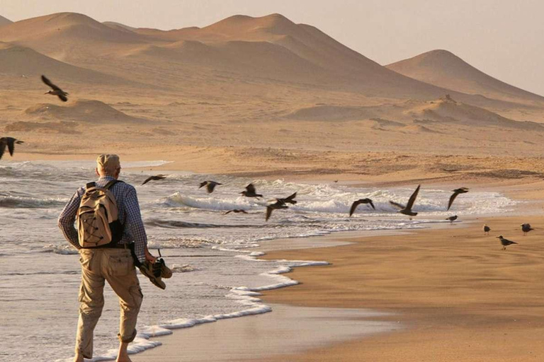 Paracas: Ballestas Islands + Paracas Reserve - FullDay Combo