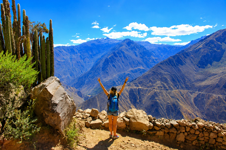 Arequipa: 2 Days Colca Canyon Trekking