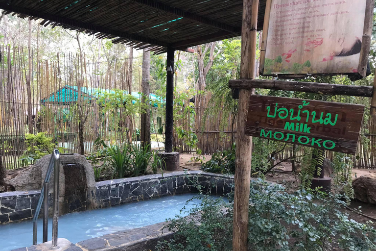 Private Kanchanaburi Tour: Hot Spring & Death Railway