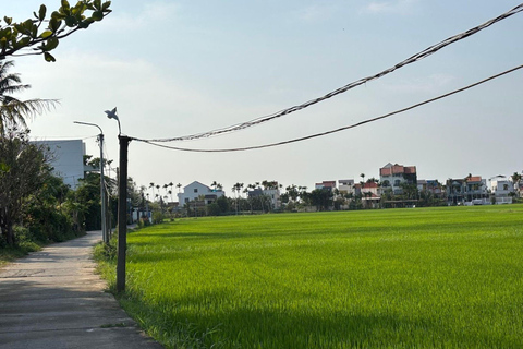 Hoi An Bike Tour: Stress Relief w Buffalo,Duck & Basket Boat E-Car Sightsee Private Tour: Explore the Insider’s Route