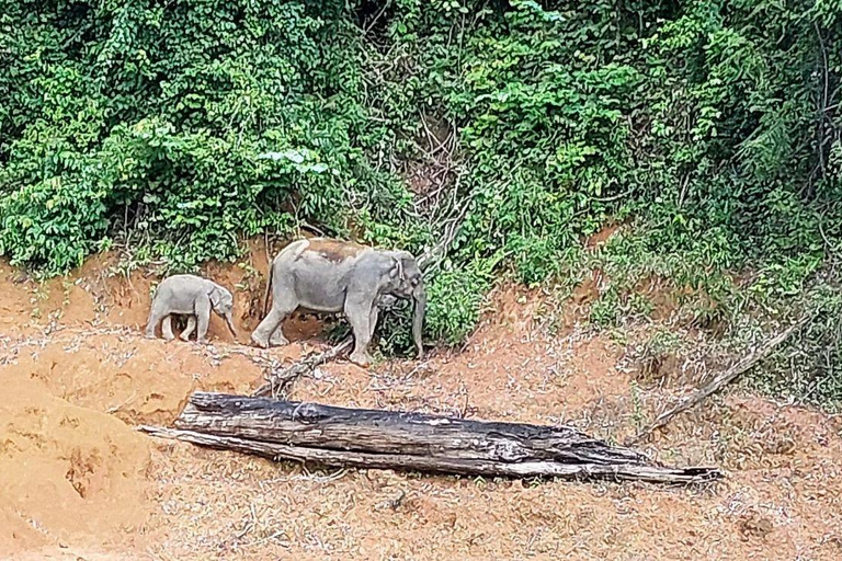 Lago Cheow Larn - Escursione - Esplorazione delle grotte - Safari con la fauna selvatica