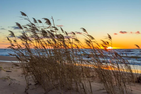 Kemeri N Park, Jurmala, Lake Melnezers & White Castle Hotel