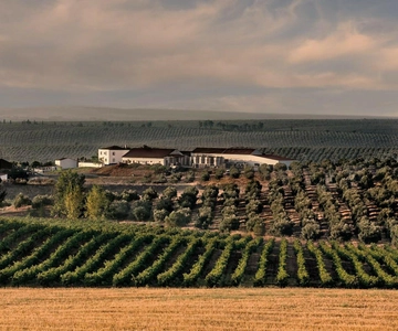 Alentejo Wine Tour from the Algarve