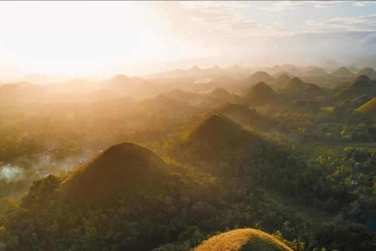 Bohol: Premium Chocolate Hills, Tarsiers &amp; River Experience