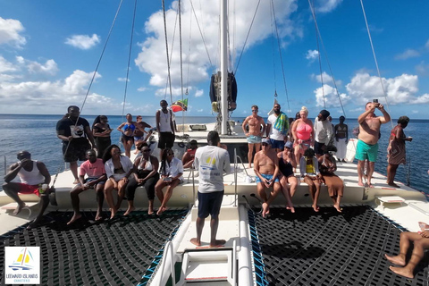 Basseterre: Catamaran cruise op St. Kitts met lichte lunch