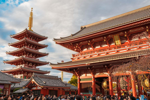 Tokyo Private Tour: Hidden Gems with a Local 4 Hours Private Tour