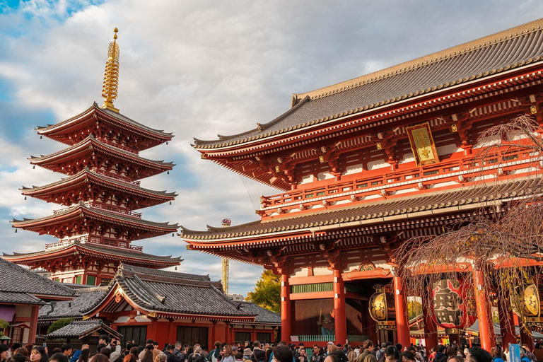 Tokyo Private Tour: Hidden Gems with a Local 8 Hours Private Tour