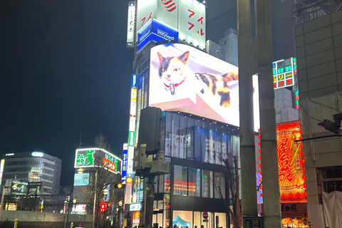 طوكيو جولة مشي ليلية في شينجوكو مع الزقاق السري