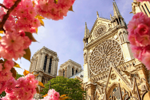 Paris: Notre-Dame Audio Guide + Archaeological Crypt Option Paris: Archaeological Crypt Ticket + Notre-Dame Audio Tour