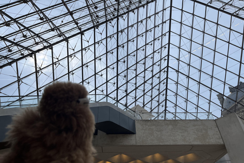 Paris : billet d&#039;entrée au musée du Louvre et visite guidée privée