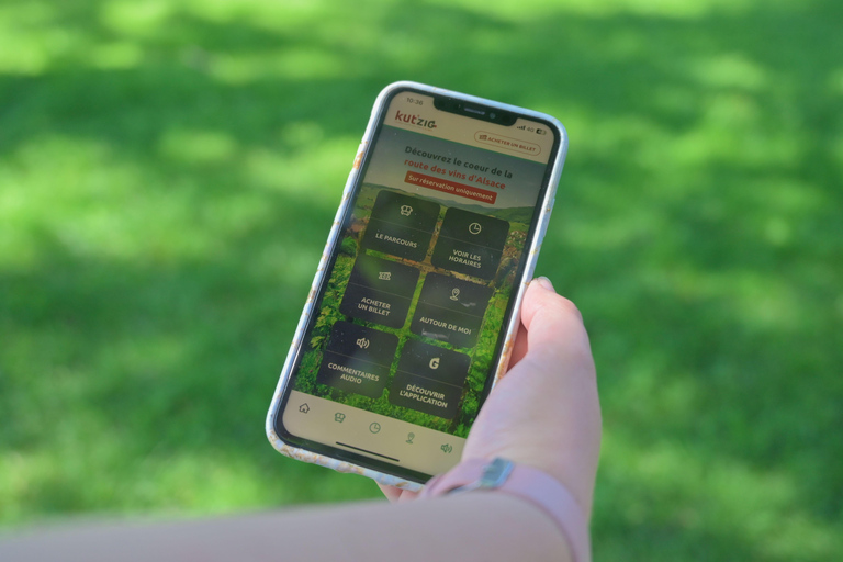 Alsace Wine Route: multi-stop convertible bus tour KUT'ZIG: April, May, June, October